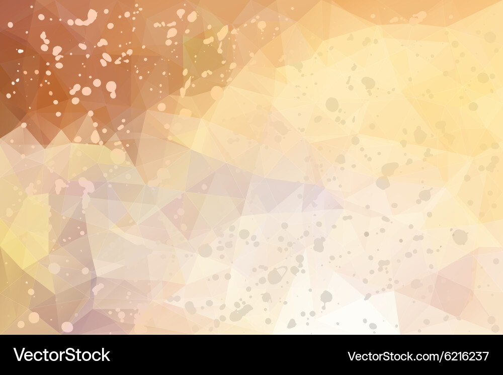 Abstract triangle background vector image