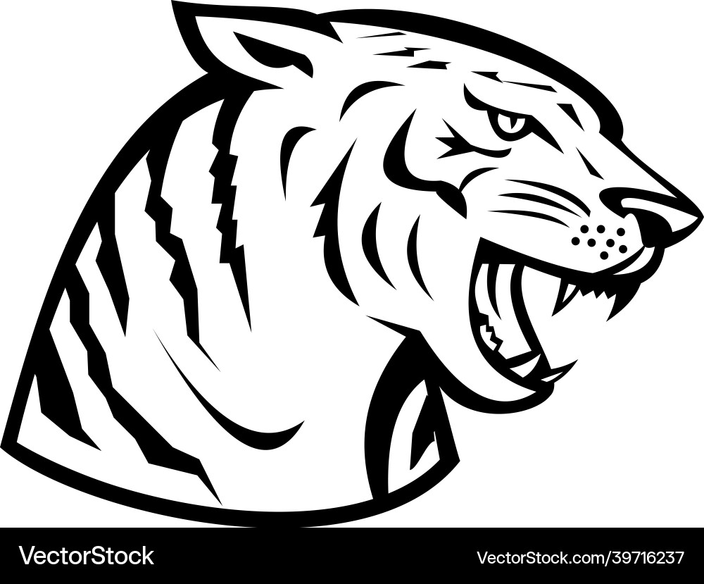 Head of bengal tiger growling side woodcut retro Vector Image