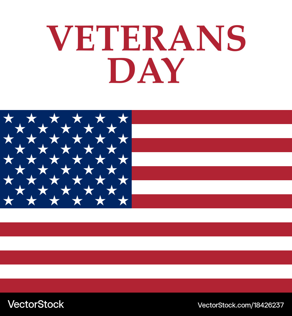 Veterans day in the united states of america Vector Image