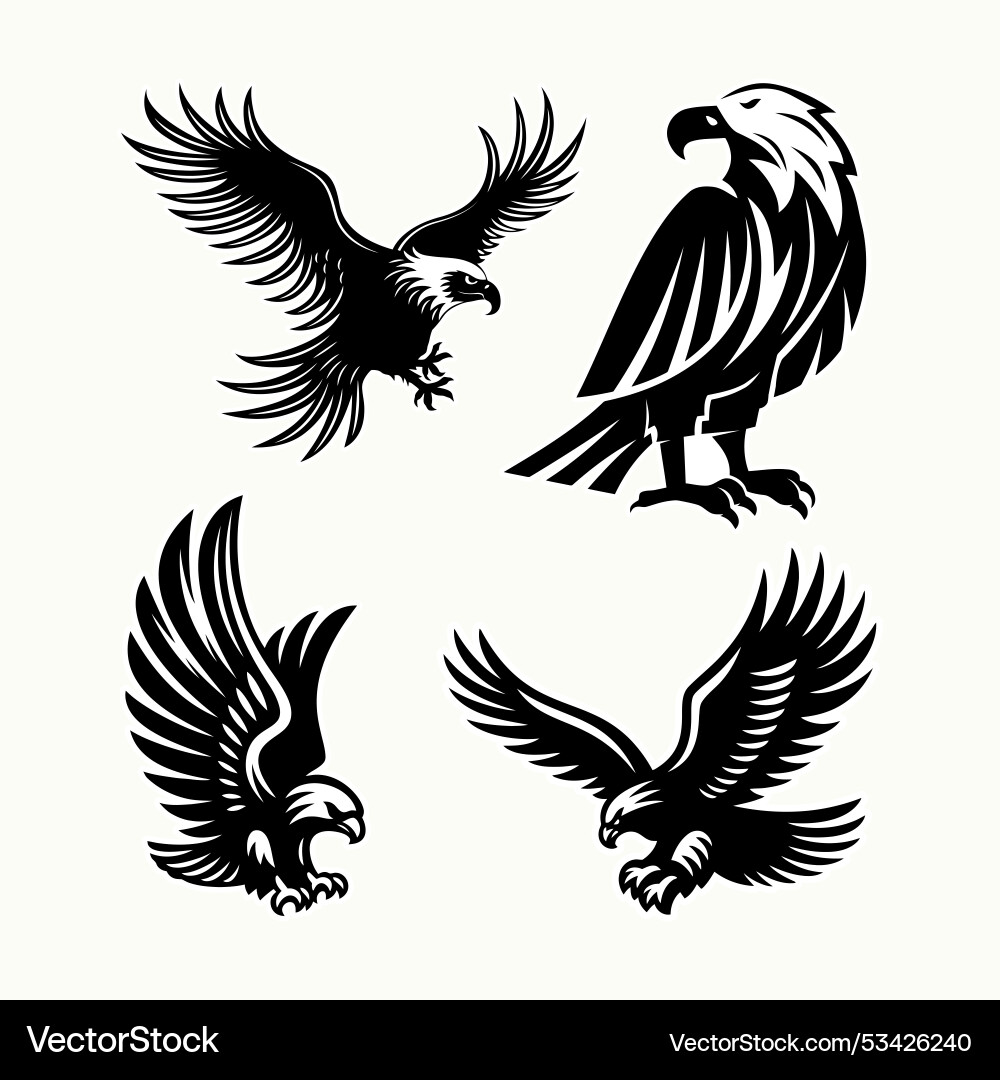 Elegant eagle designs fierce predators in action Vector Image