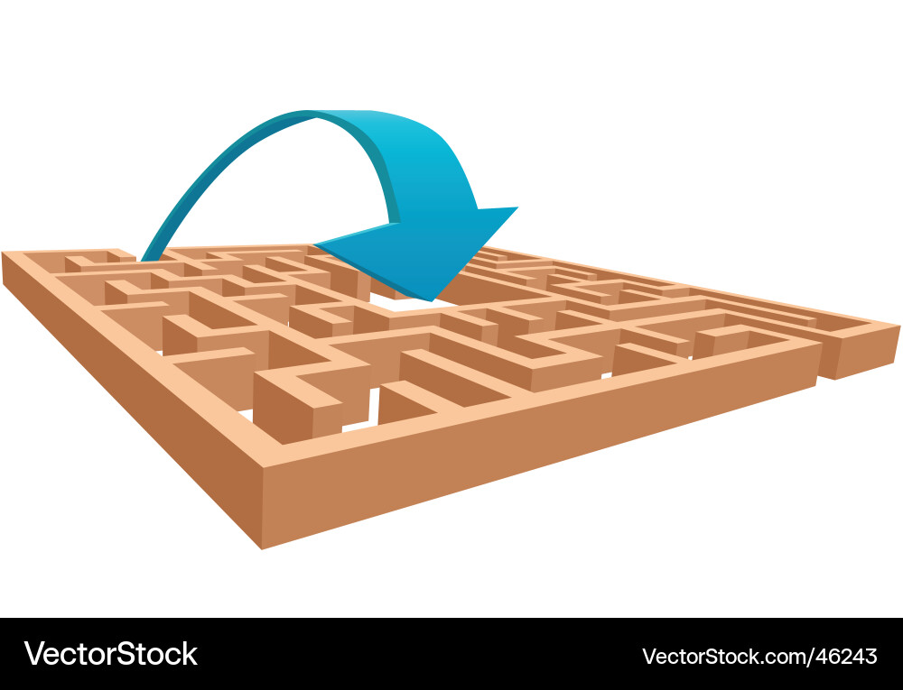 Maze Solution Arrow vector image