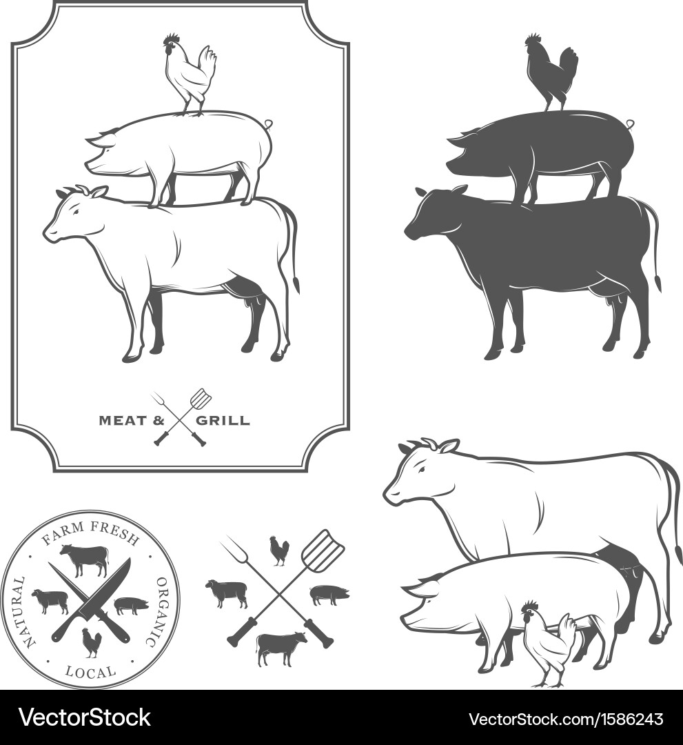 Meat & Grill Menu Elements Vector Image