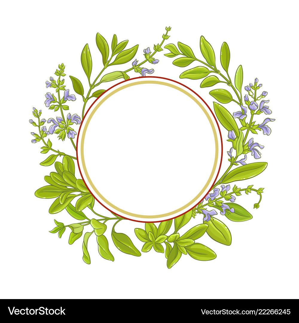 Sage Branch Frame - Botanical Design vector image