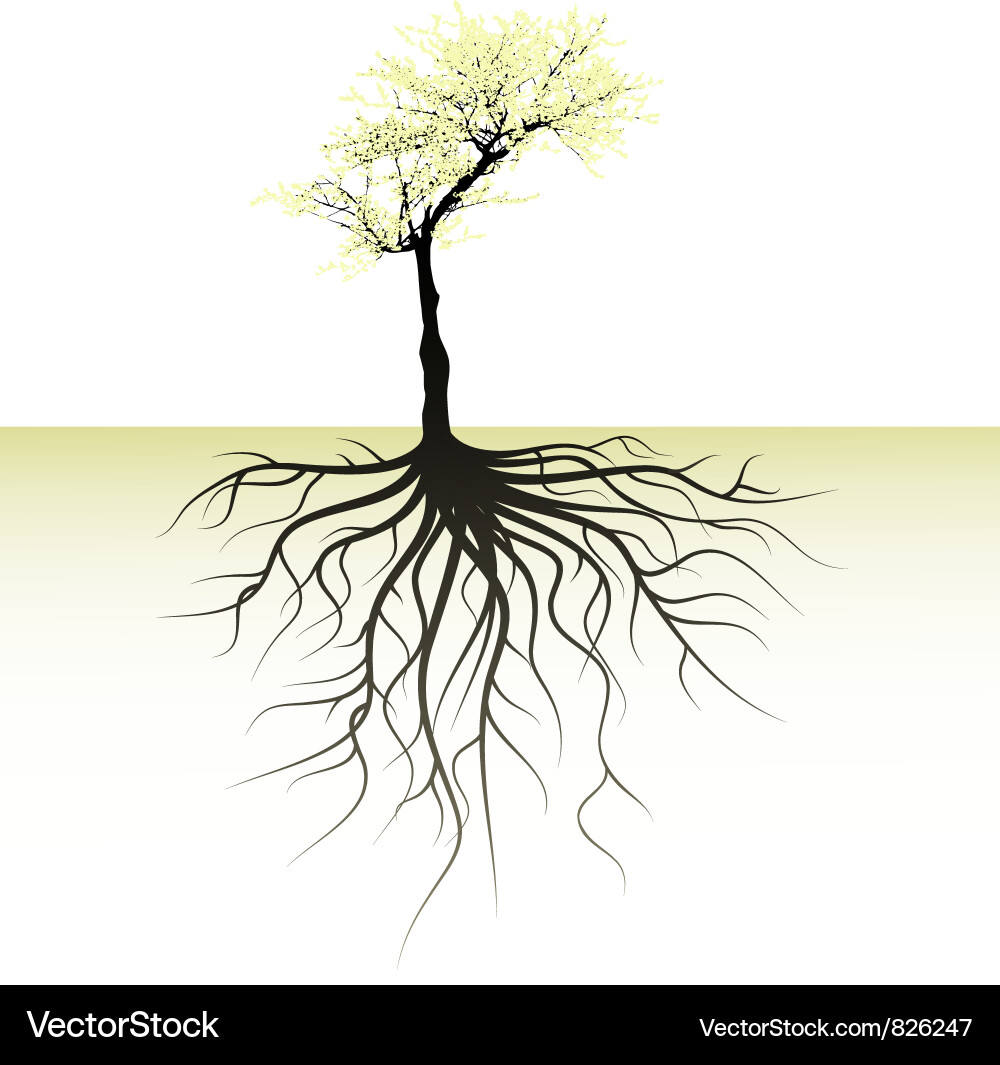 Elegant Blooming Tree Vector Image