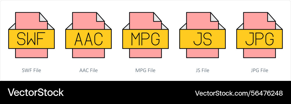 A set of files icons as swf file aac mpg vector image