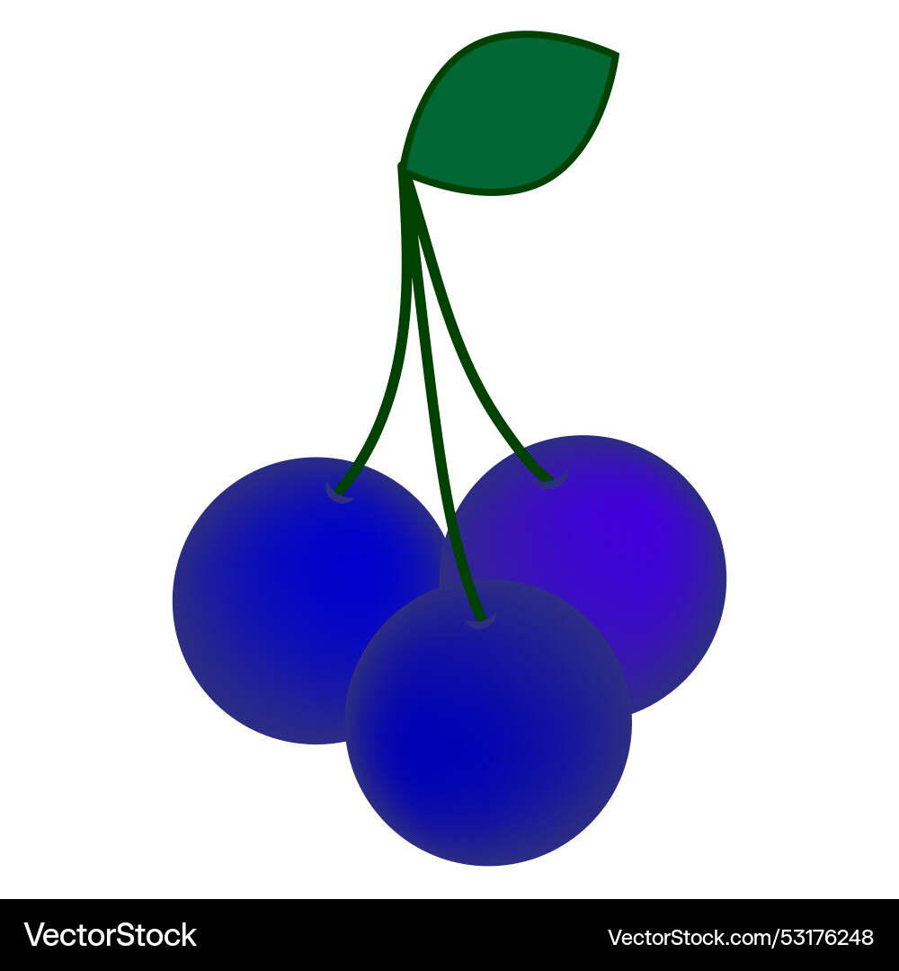 Print Vector Image