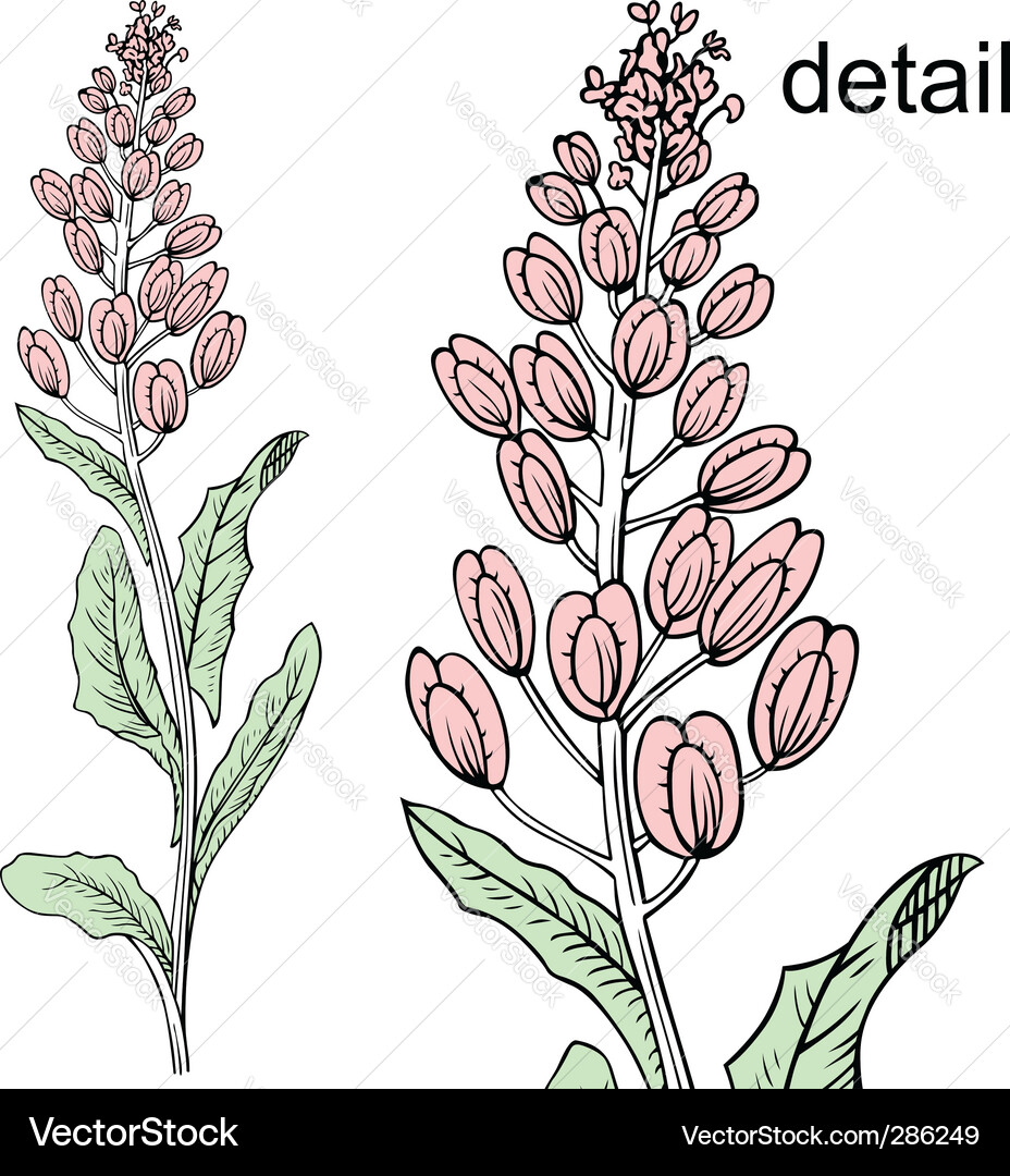 Easy to edit download combine resize and use image Vector Image
