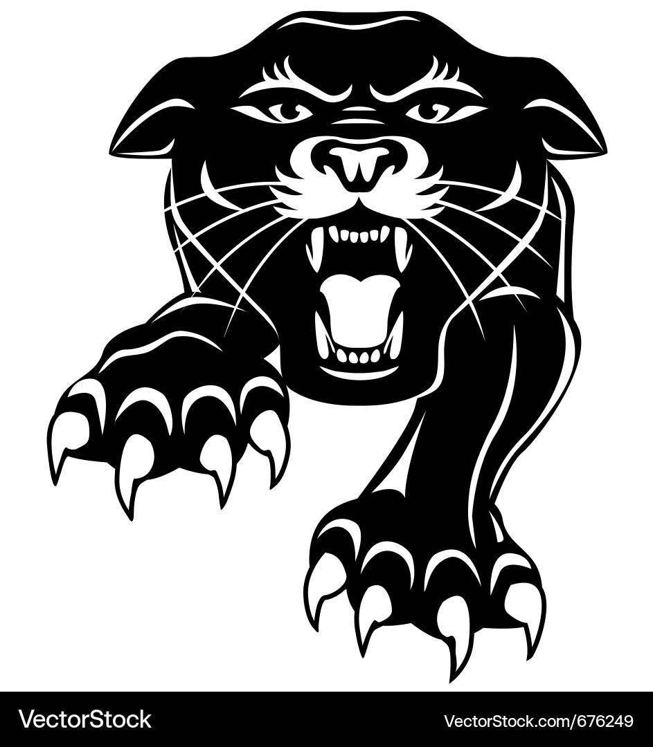 Powerful Black Panther vector image