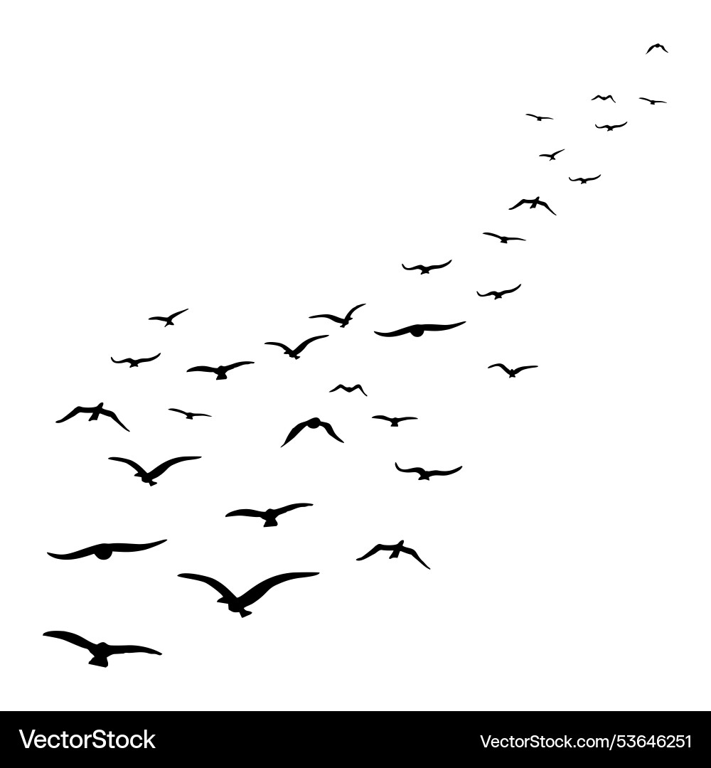 Beautiful birds fly Vector Image