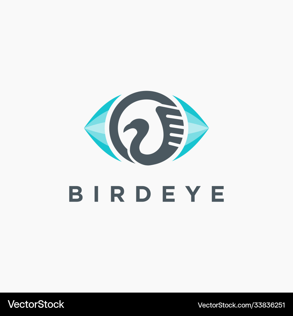 Bird eye vision logo icon template vector image