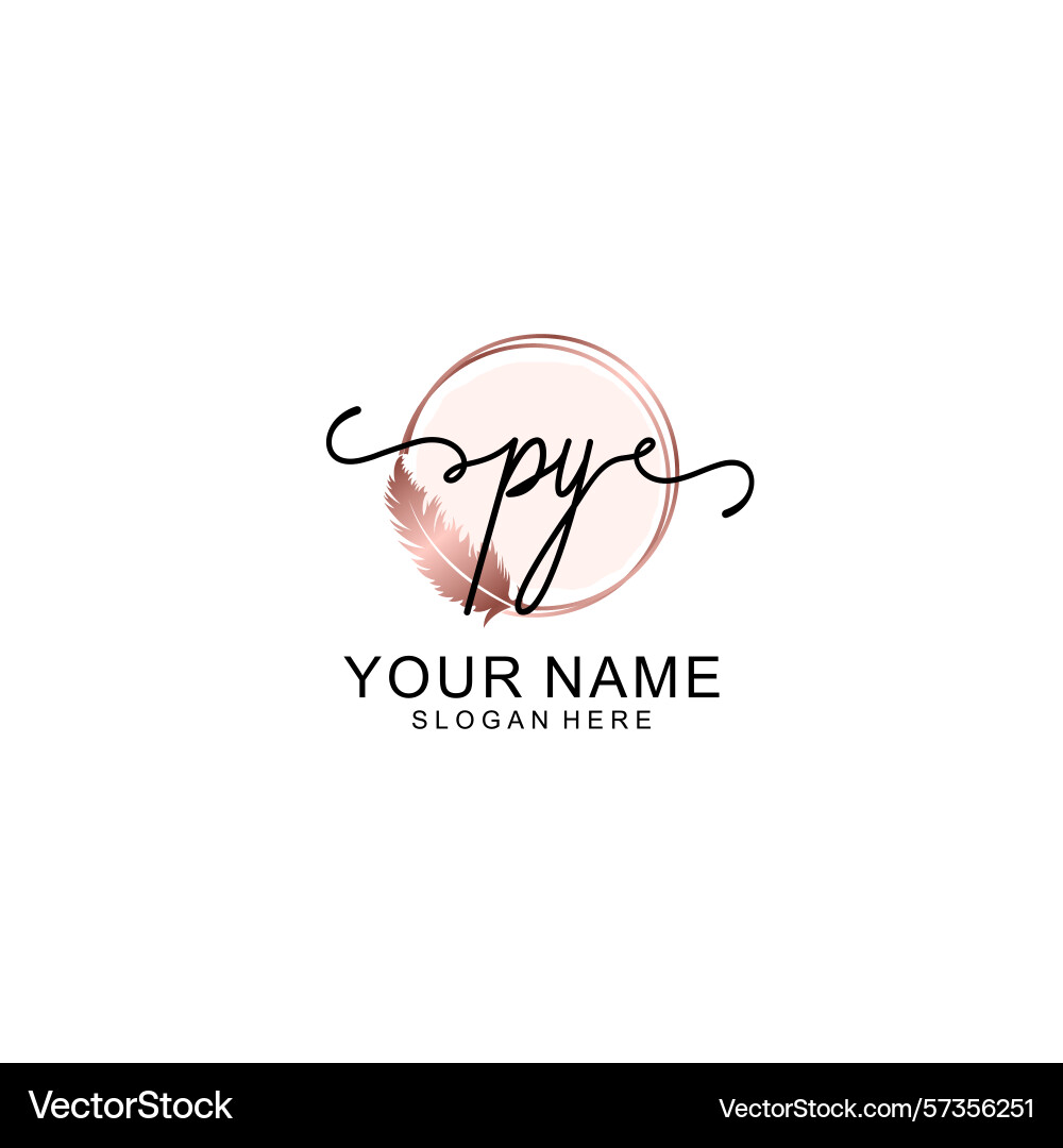 Handwritten py initial logo with circle Vector Image