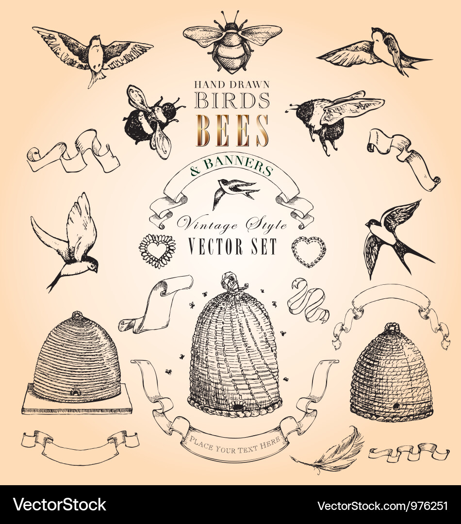 Vintage Birds & Honey Banners vector image