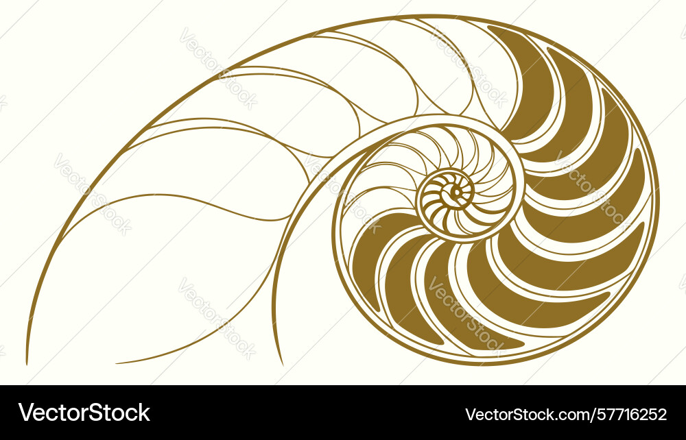 Intricate nautilus shell cross-section golden Vector Image