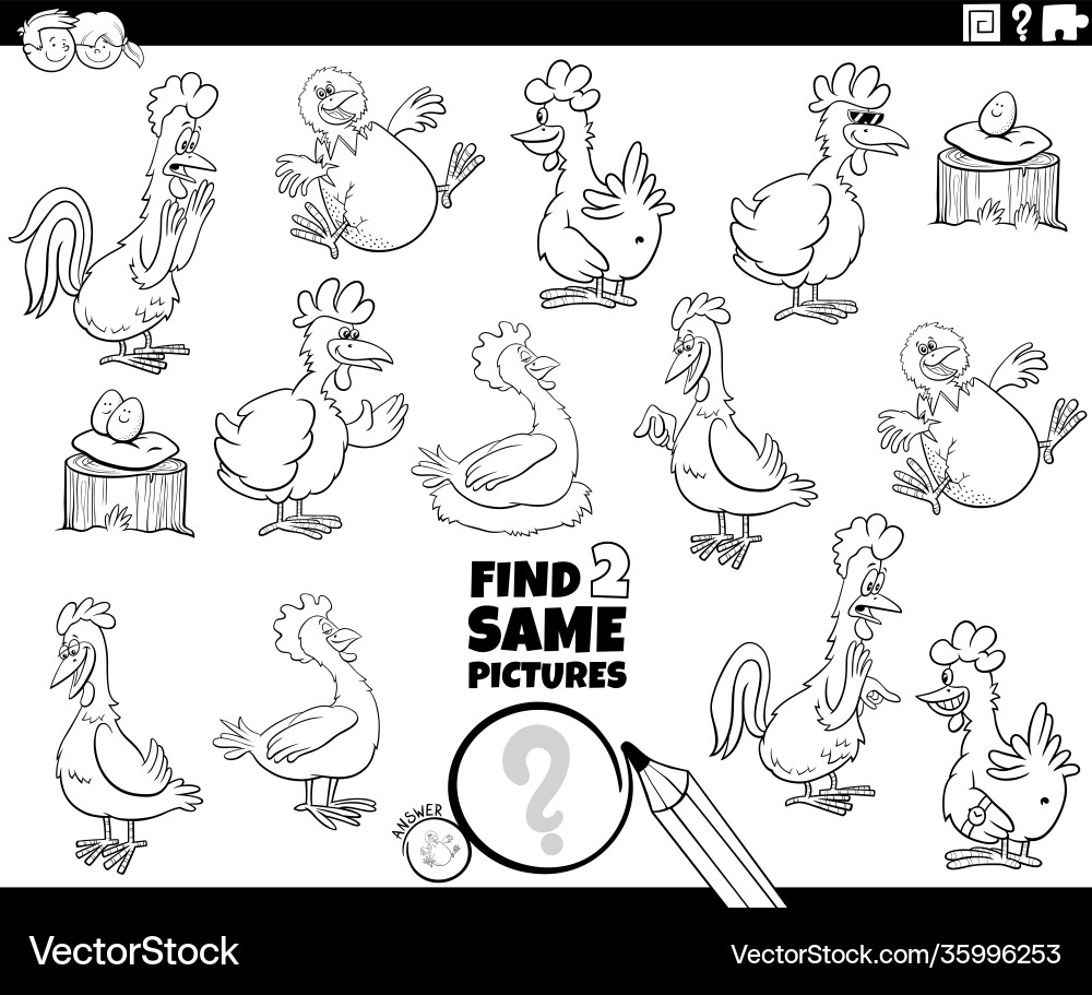 Find Two Same Chicken Pairs Vector Image