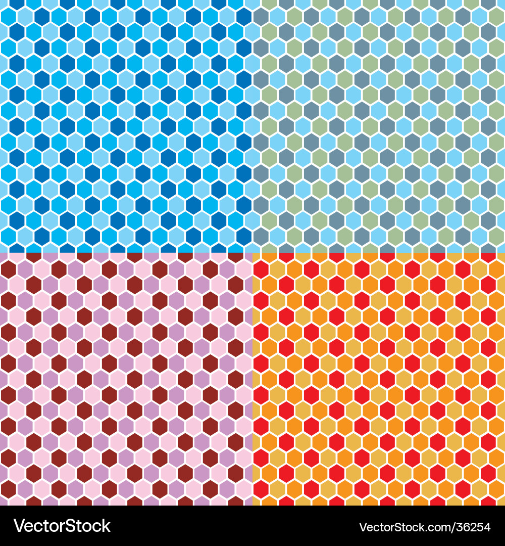 Geometric Hexagon Pattern vector image
