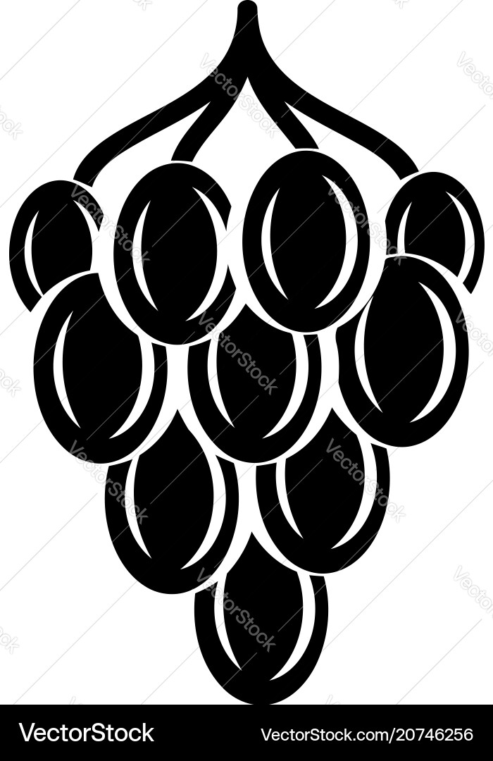 Grape icon simple style Vector Image