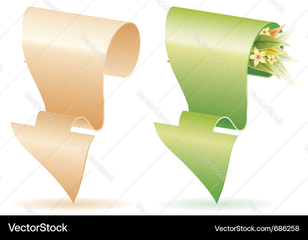 Arrow Paper Scroll vector image
