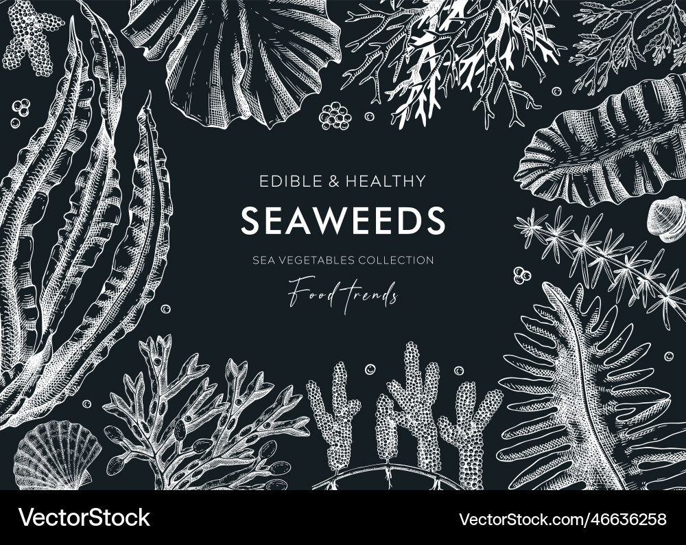 Hand-drawn edible seaweed background Hand-drawn edible seaweed background vector image