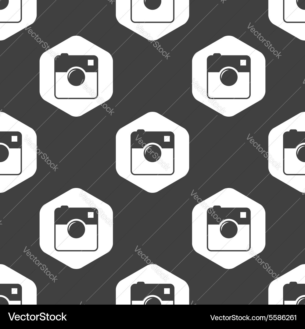 Black hexagon square camera pattern vector image