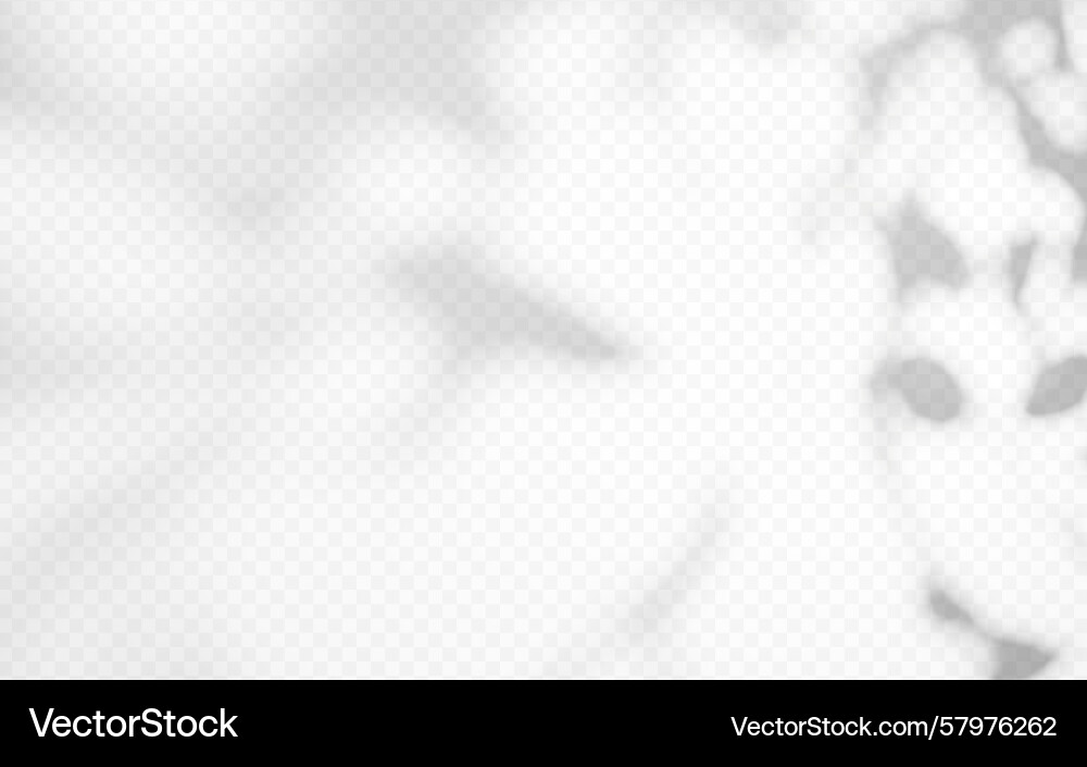 Abstract shadow overlay from tree branch Abstract shadow overlay from tree branch Vector Image