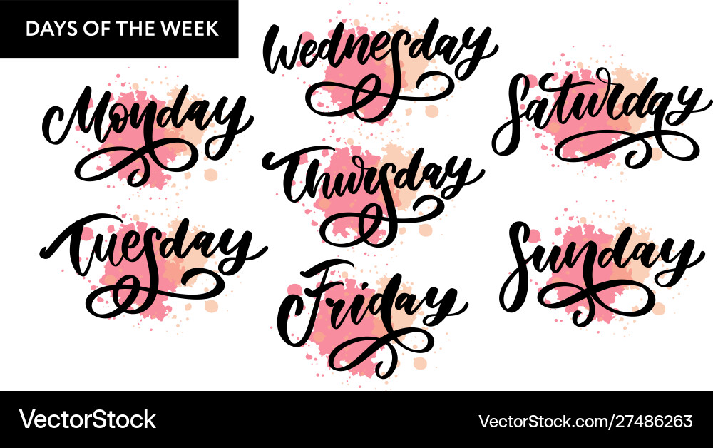Handwritten week days and symbols set ink font Handwritten week days and symbols set ink font vector image