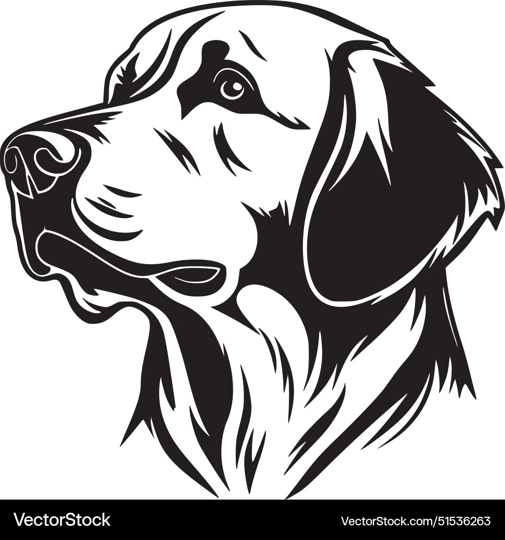 Minimalist Labrador Retriever vector image