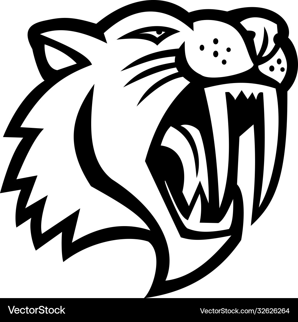 Angry Saber-Toothed Cat Mascot Royalty Free Vector Image