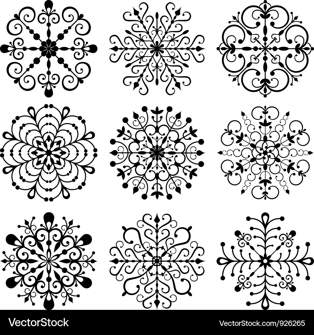 Elegant Snowflake Collection vector image