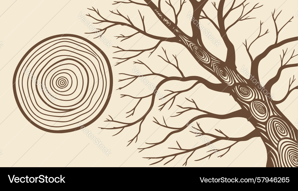 Tree Trunk Cross-Section with Rings Vector Image