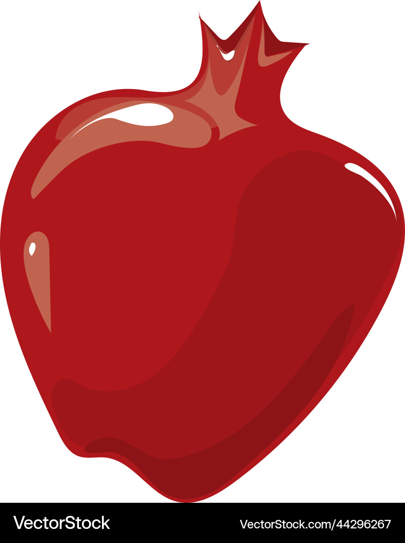 Pomegranate Fruit Icon Vector Image