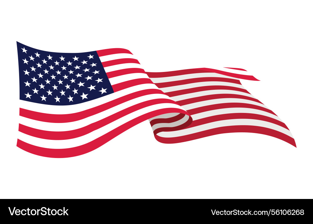 American Flag - USA Symbol vector image