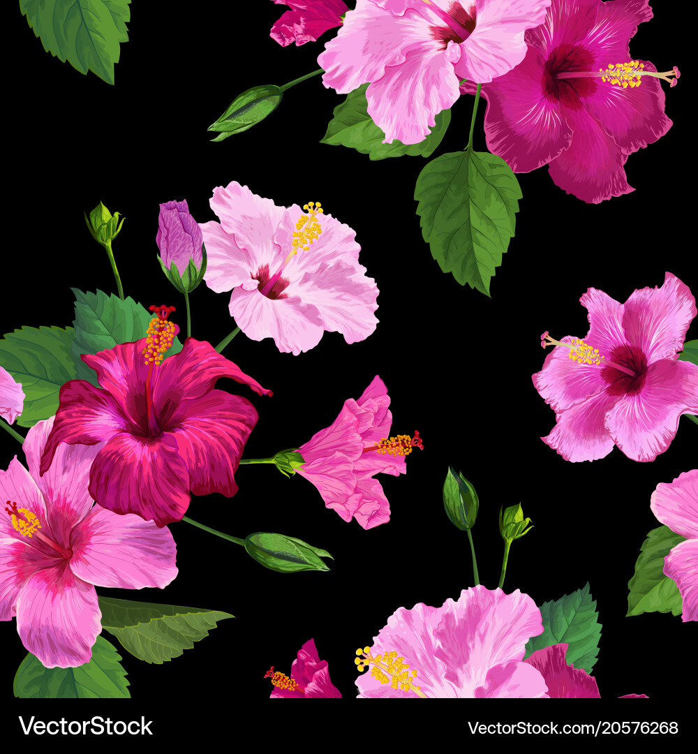 Pink Hibiscus Flower Seamless Pattern Vector Image