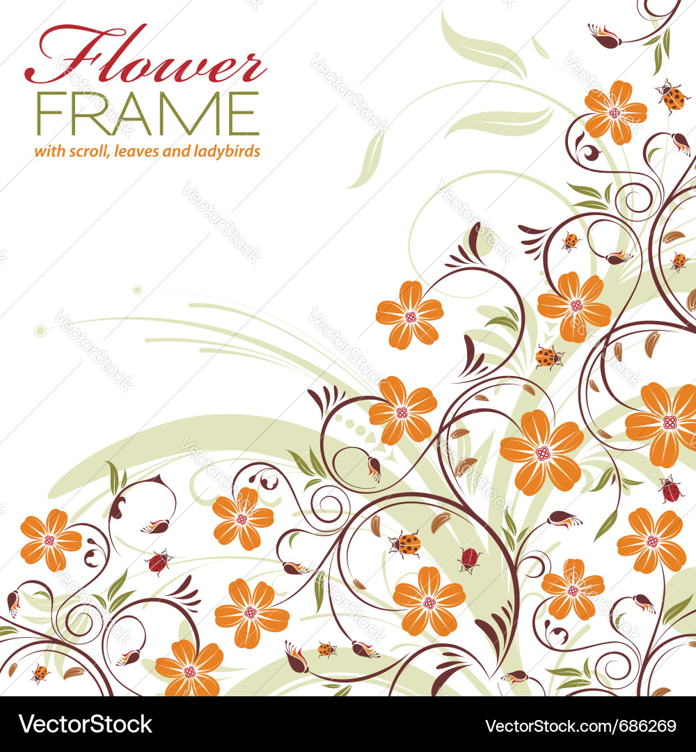 Floral Frame Pattern vector image