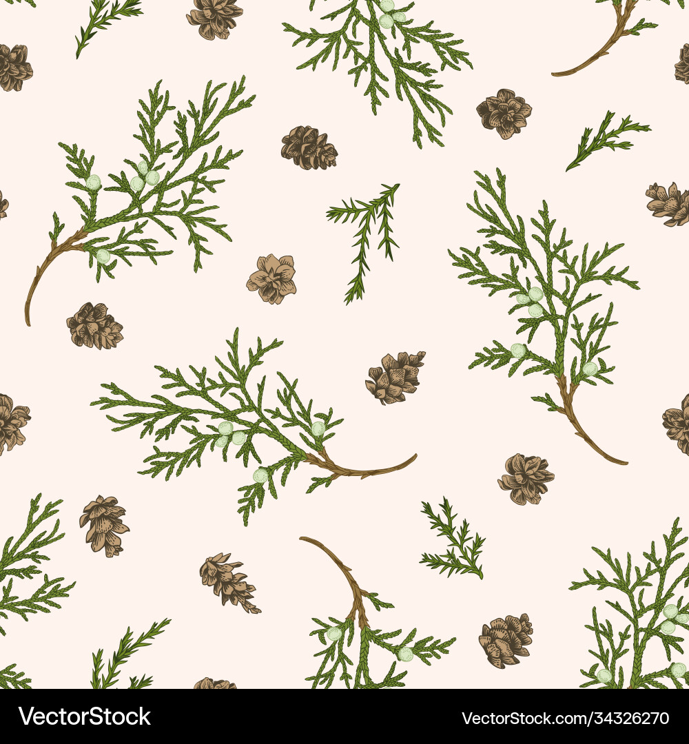 Seamless pattern with juniper branches Seamless pattern with juniper branches vector image
