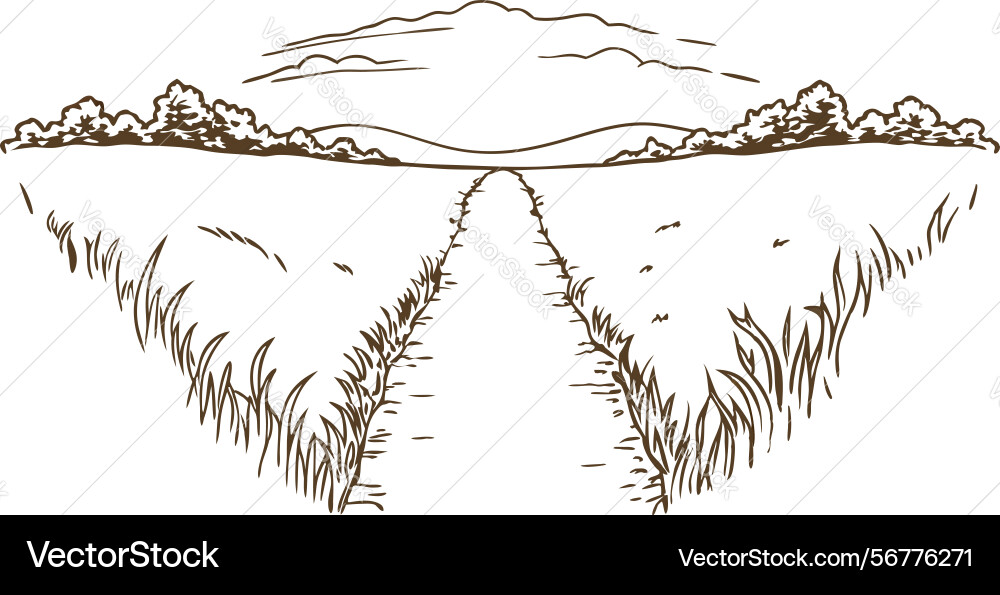 Scenic rural landscape with path through fields Vector Image