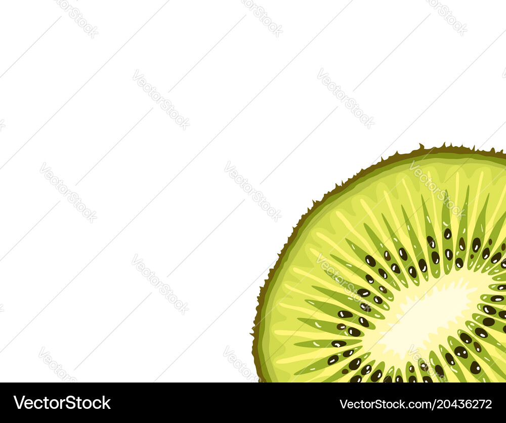 Card template with kiwi fruit slice Royalty Free Vector, image size:1000x836