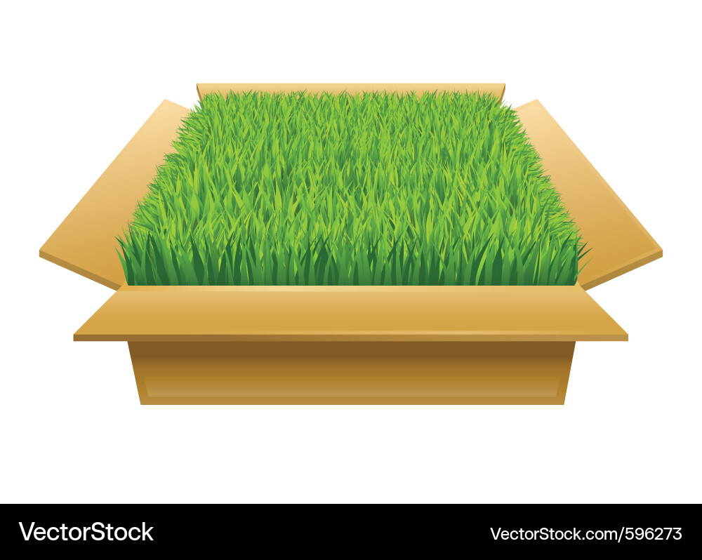 Cardboard Box - Empty Vector Image