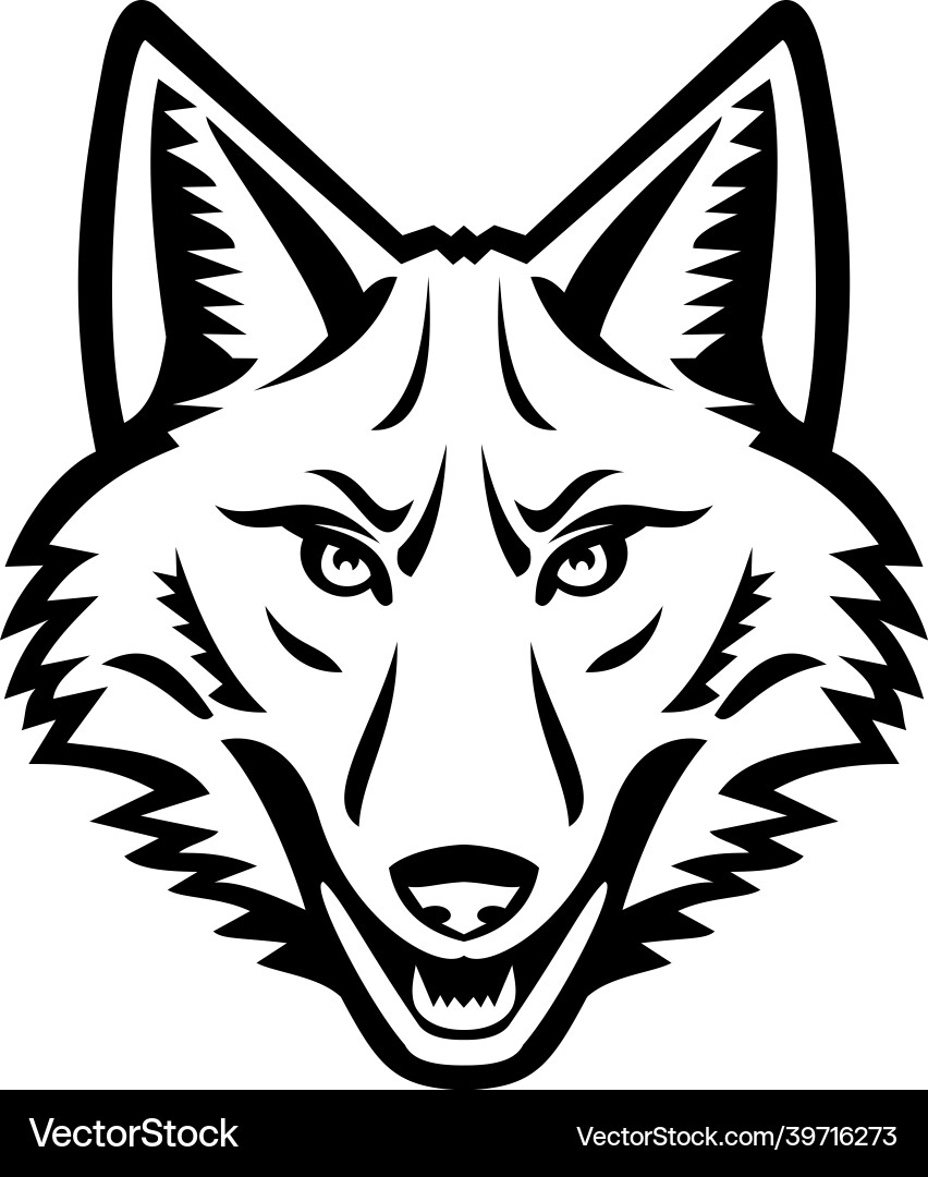 Head of a coyote front view mascot black and white Vector Image