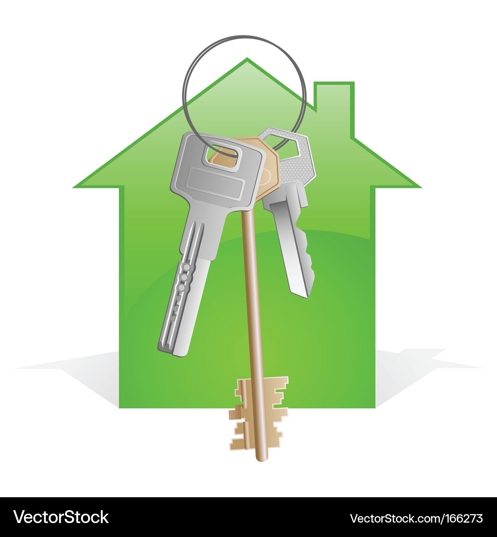 House keys Vector Image
