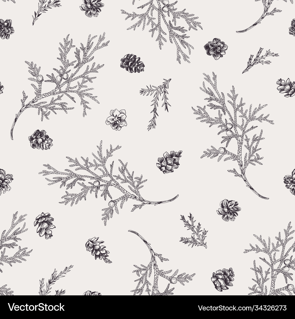 Juniper Branch Pattern - Engraved Style vector image
