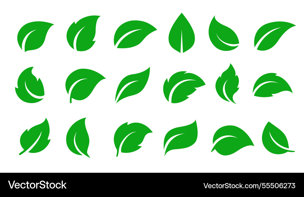 Set of flying green plants and herbs leaves icons Set of flying green plants and herbs leaves icons vector image
