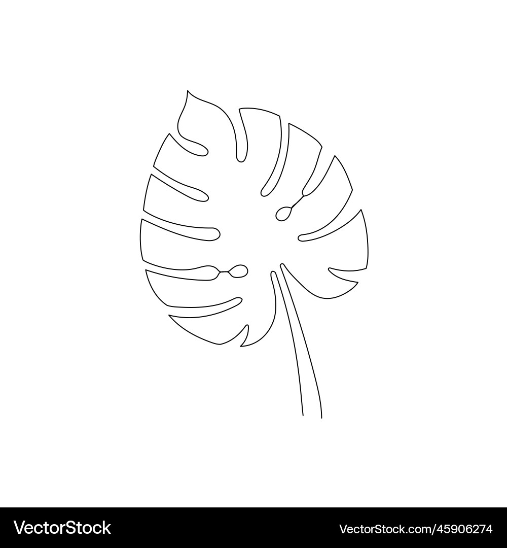 Line monstera leaf art one continuous Line monstera leaf art one continuous vector image