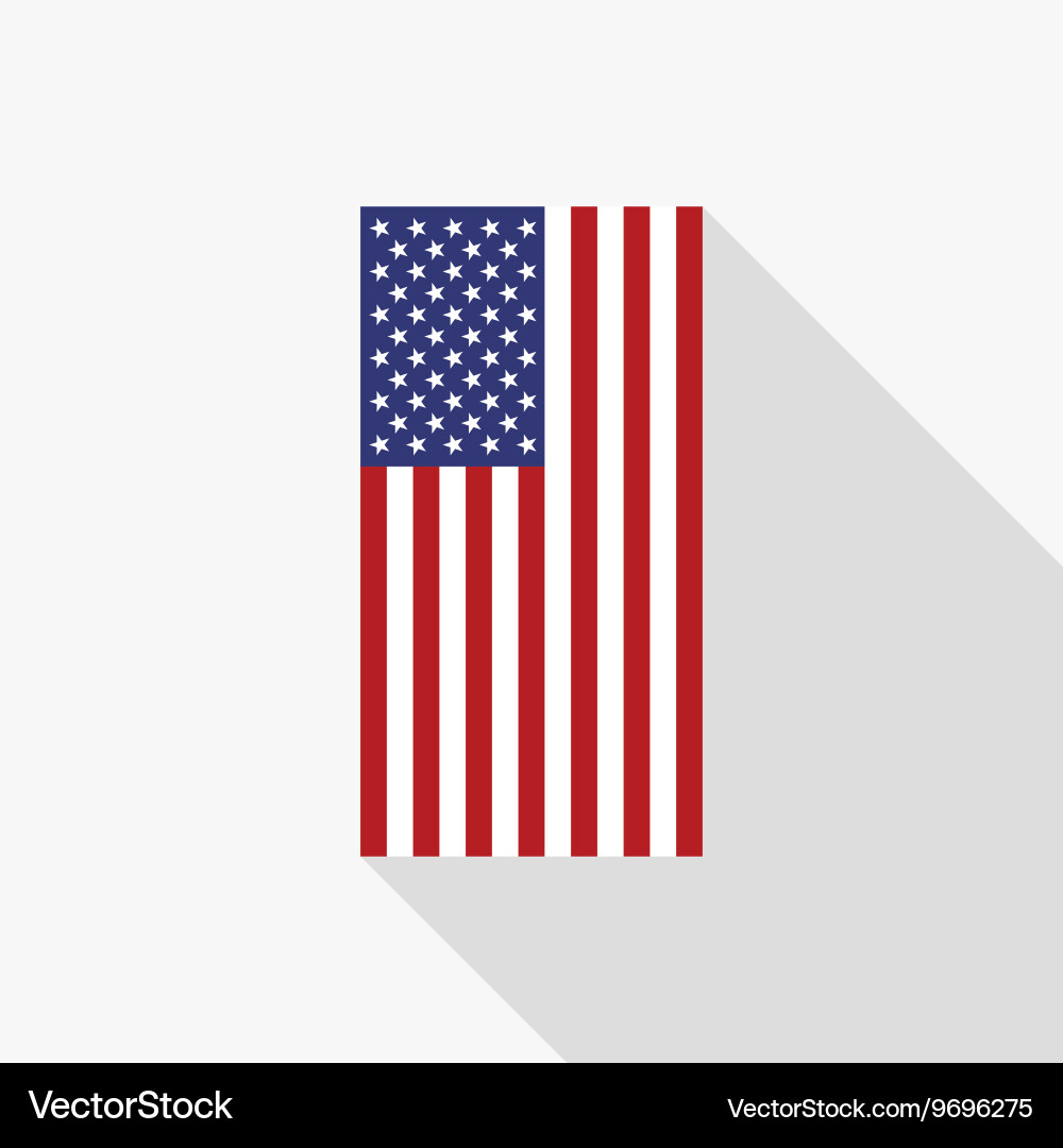 Usa flag flat icon vector image