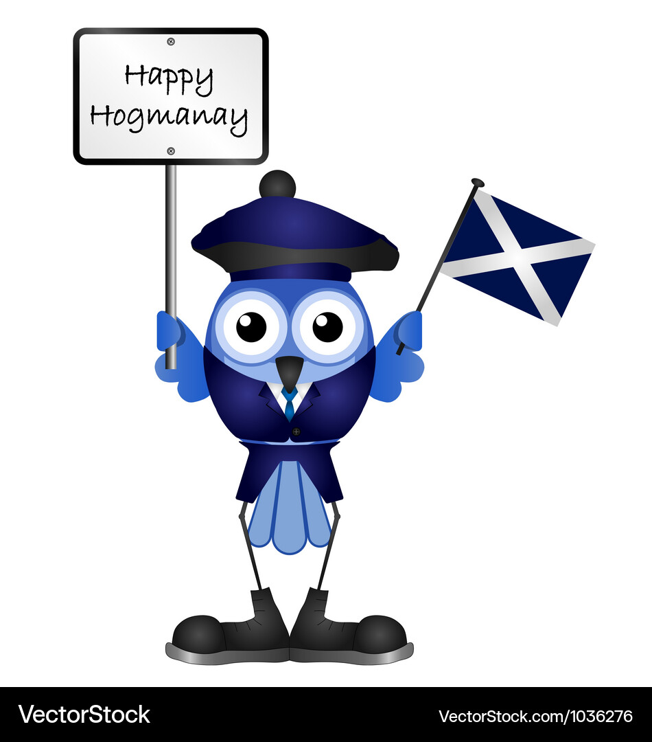 Hogmanay Bird with Hat Vector Image