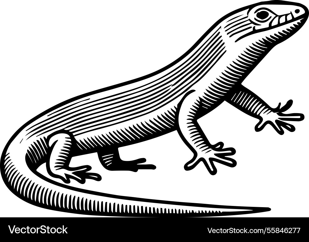 Einfache Ikone eines cayo de los pinos skink logo Einfache Ikone eines cayo de los pinos skink logo vektorbild