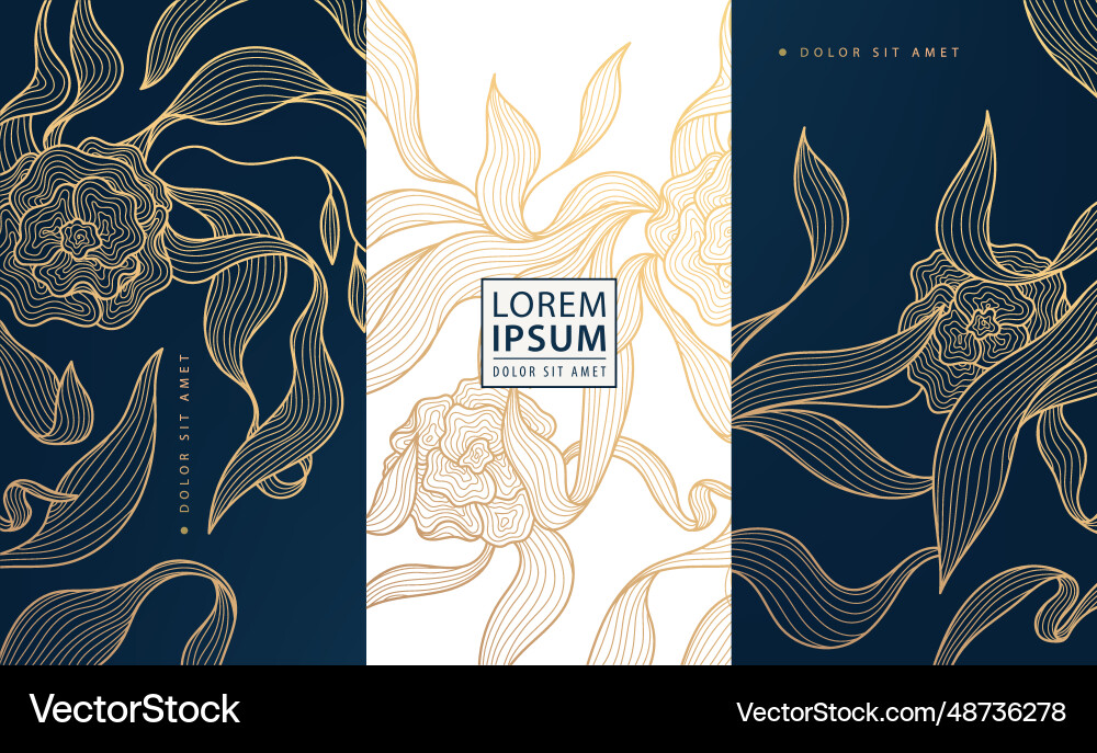Set of design elements labels frames Set of design elements labels frames vector image