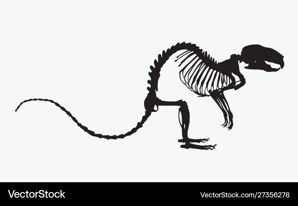 Skeleton rat Skeleton rat vector image