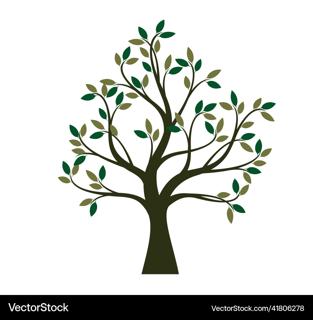 Spring tree Spring tree vector image