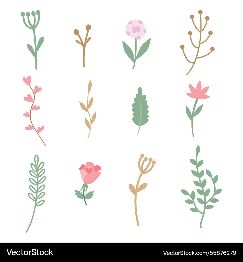 Set of simple uncomplicated twigs and flowers Set of simple uncomplicated twigs and flowers vector image