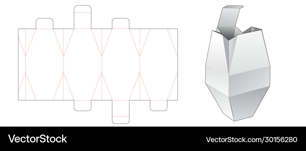 Unique packaging box die cut template Unique packaging box die cut template vector image